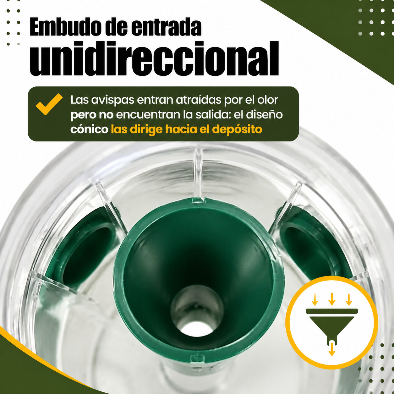 Detalle del mecanismo de entrada en embudo de la trampa para avispas que impide la salida de insectos