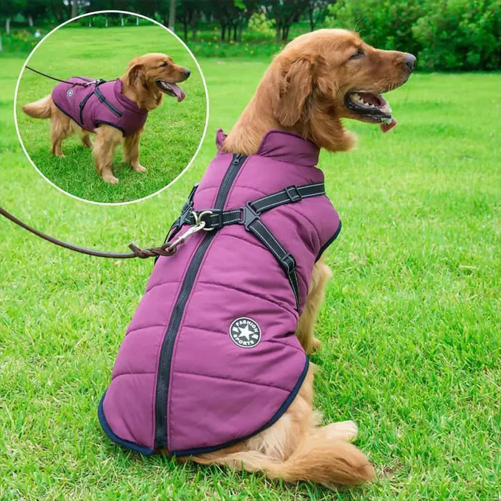 Chaqueta de Invierno para Perros – Abrigo 3 en 1 Impermeable, Cortaviento y con Arnés Integrado
