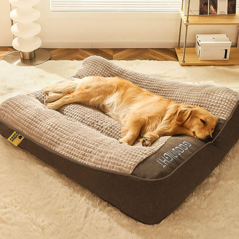 Cama grande con cojín grueso y antirrayas para perro