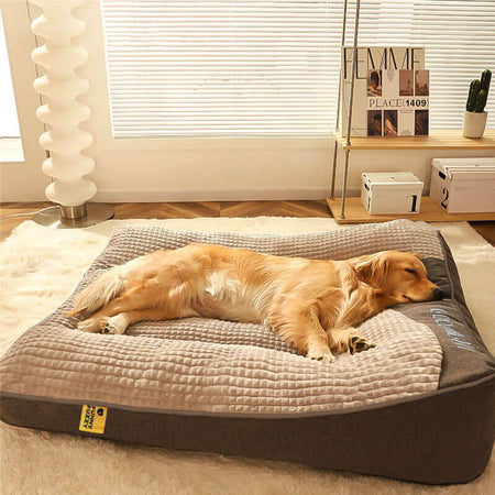 Cama grande con cojín grueso y antirrayas para perro