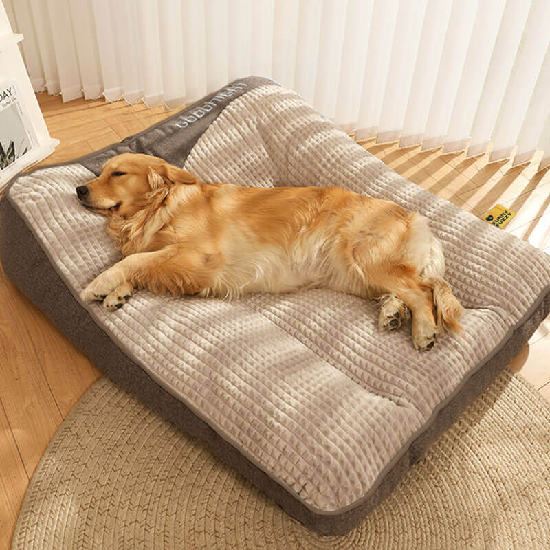 Cama grande con cojín grueso y antirrayas para perro