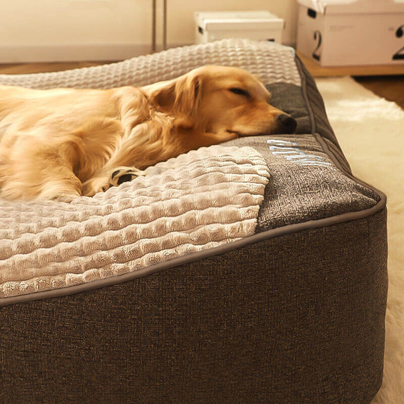 Cama grande con cojín grueso y antirrayas para perro