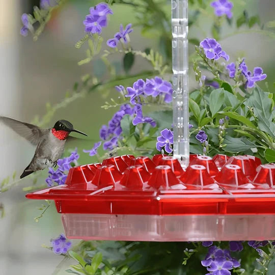 Alimentador para colibrí a prueba de hormigas para uso exterior con posadero colgante