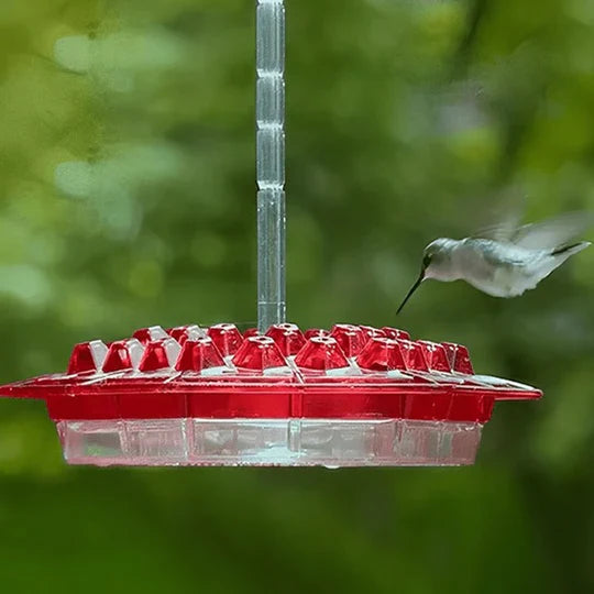 Alimentador para colibrí a prueba de hormigas para uso exterior con posadero colgante