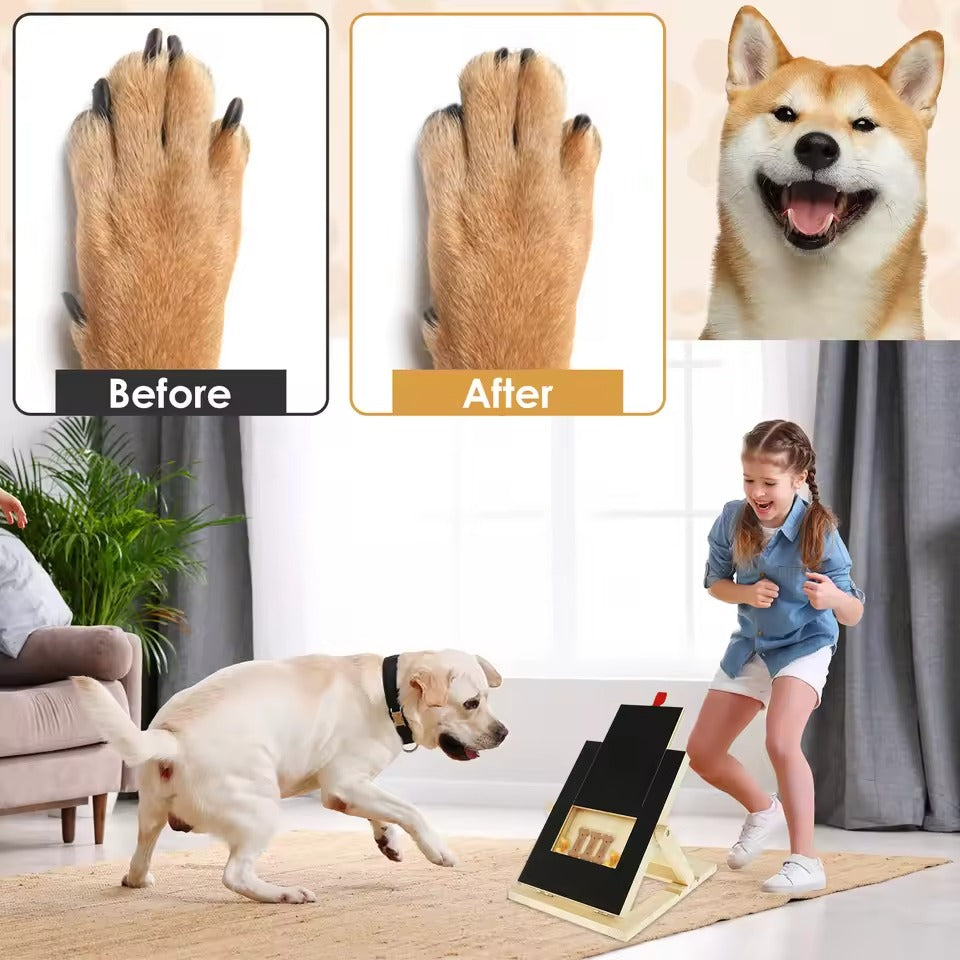 Tabla de rascar para uñas de perros con caja de golosinas
