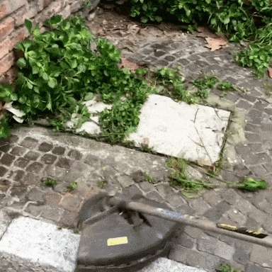 El cortabordes indestructible
