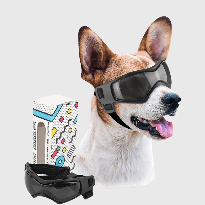 Gafas de protección para perro pequeño