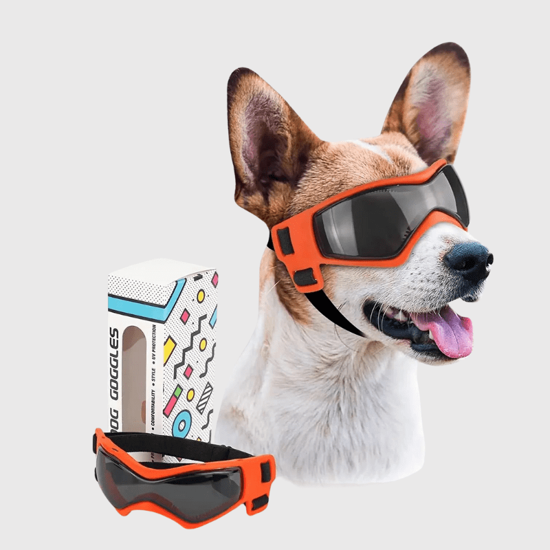 Gafas de protección para perro pequeño