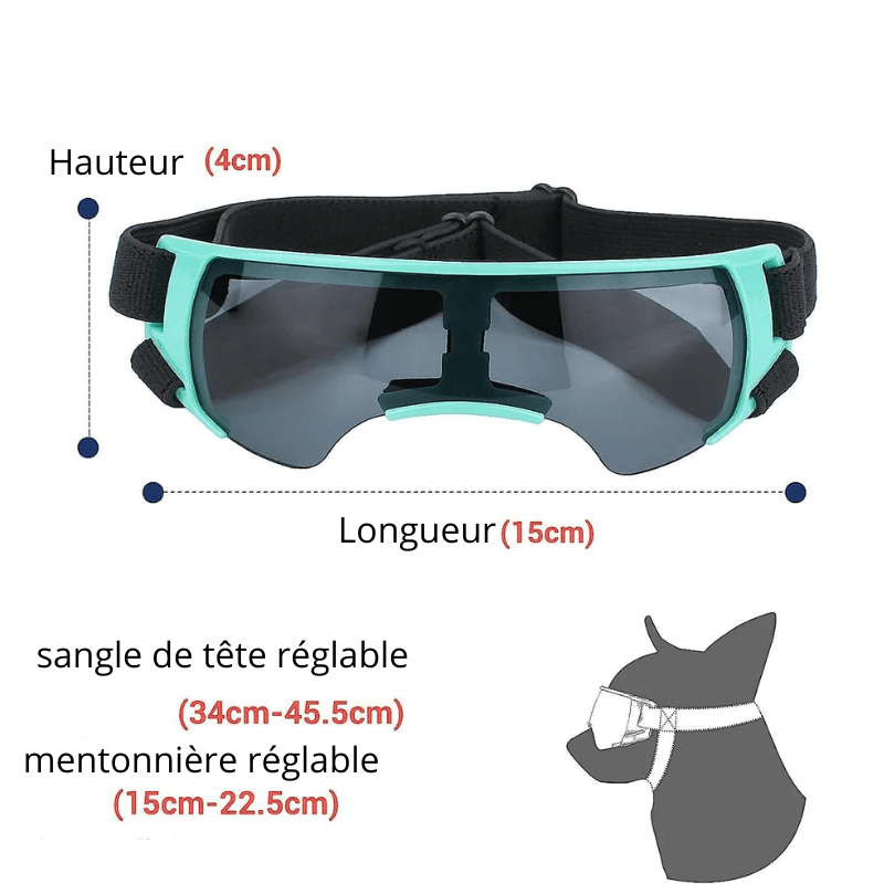 Gafas de protección para perro pequeño