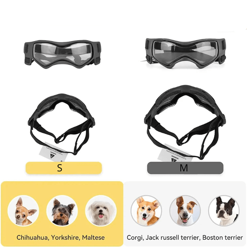 Gafas de protección para perro pequeño