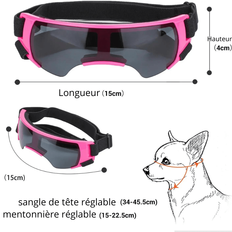 Gafas de protección para perro pequeño