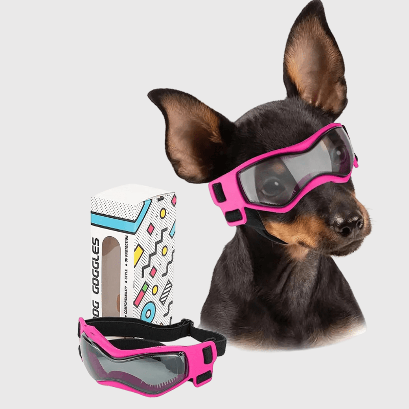Gafas de protección para perro pequeño