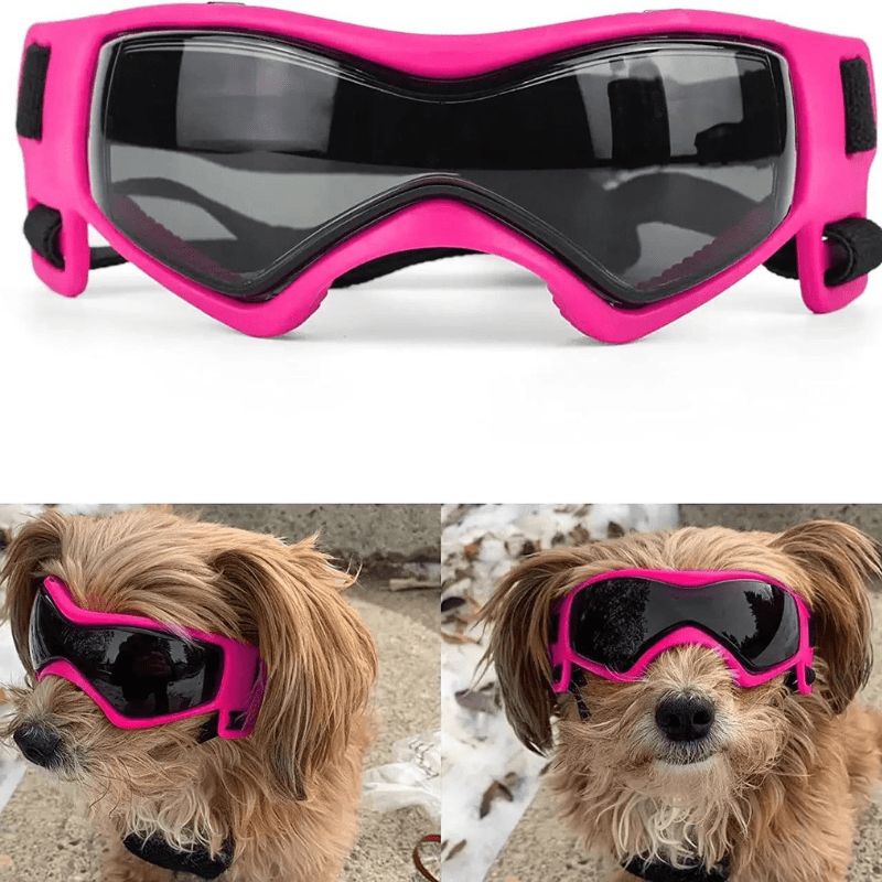 Gafas de protección para perro pequeño