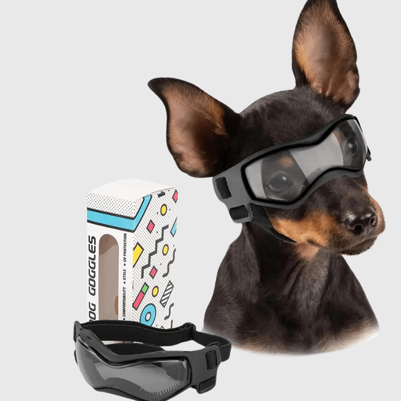 Gafas de protección para perro pequeño