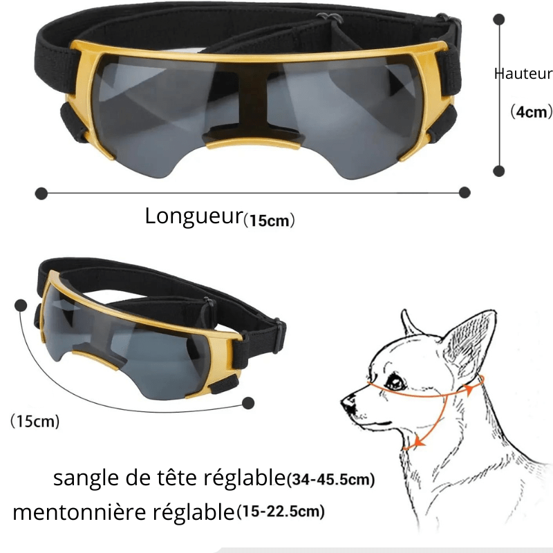 Gafas de protección para perro pequeño