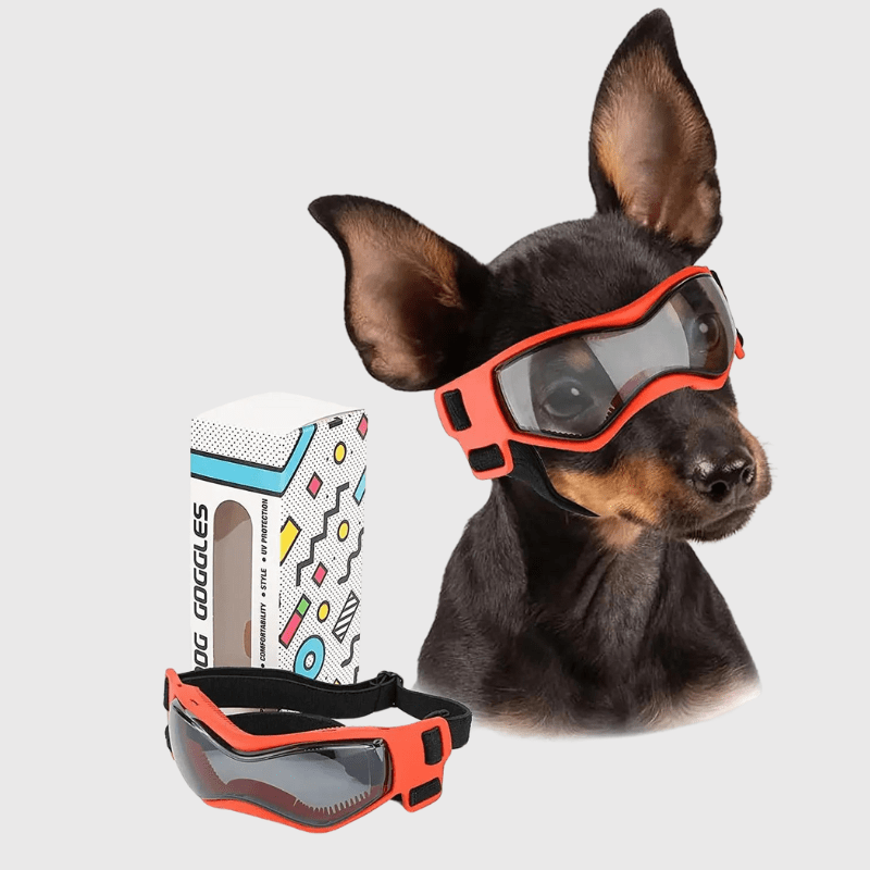 Gafas de protección para perro pequeño
