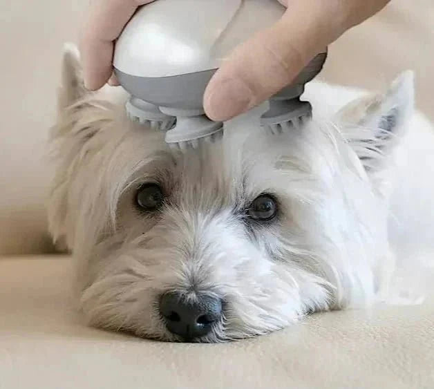 Masajeador eléctrico para gato y perro DESCUENTOSMAX™