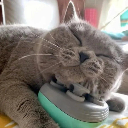 Masajeador eléctrico para gato y perro DESCUENTOSMAX™