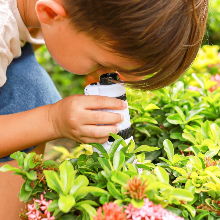 Microscopito™ - El microscopio de bolsillo para pequeños científicos