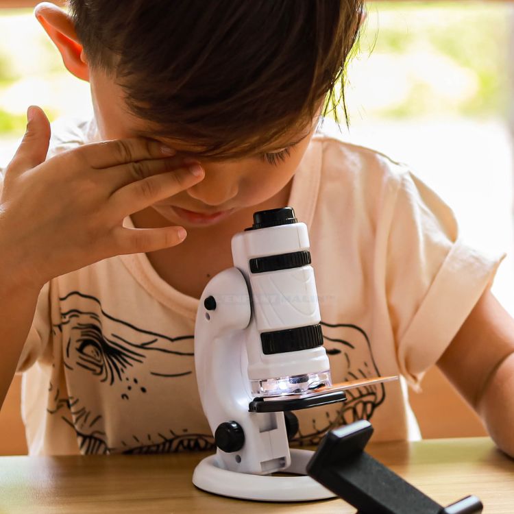 Microscopito™ - El microscopio de bolsillo para pequeños científicos