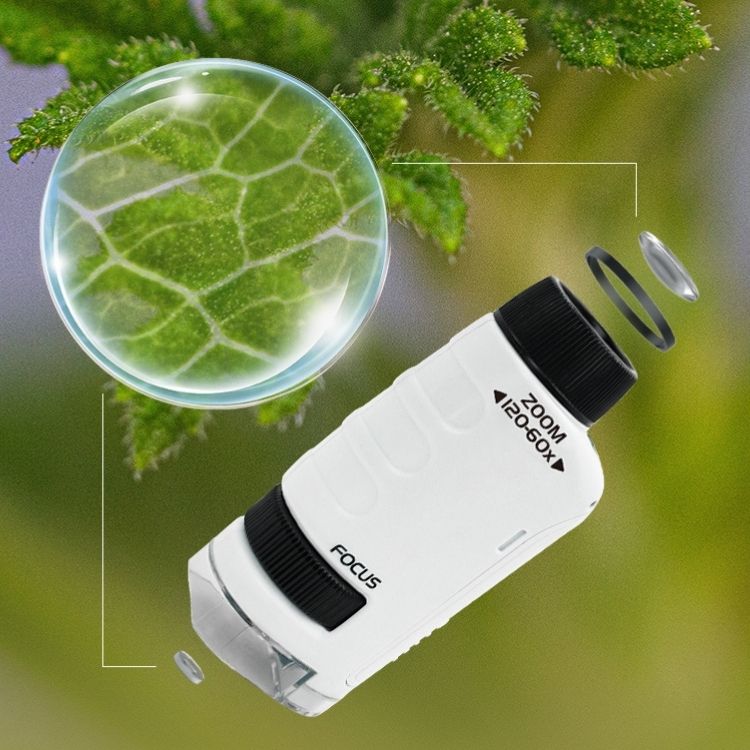 Microscopito™ - El microscopio de bolsillo para pequeños científicos