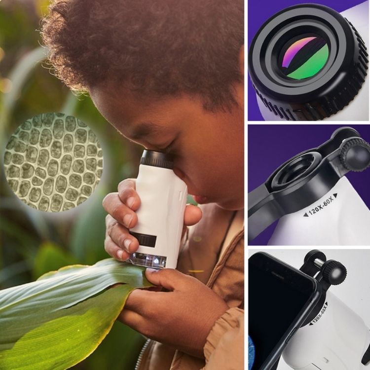 Microscopito™ - El microscopio de bolsillo para pequeños científicos
