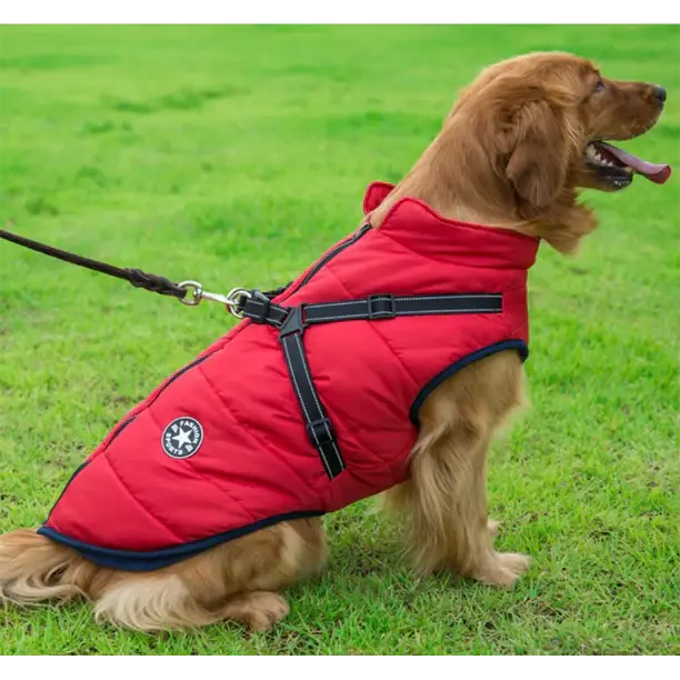 Chaqueta de Invierno para Perros – Abrigo 3 en 1 Impermeable, Cortaviento y con Arnés Integrado