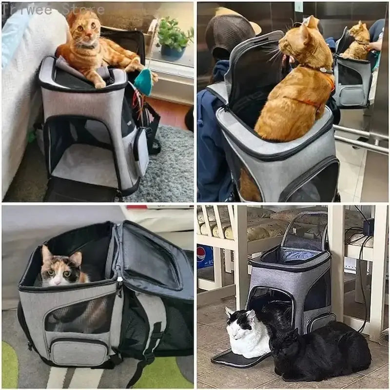 Mochila de senderismo para gatos – Ultra transpirable | TrekCat