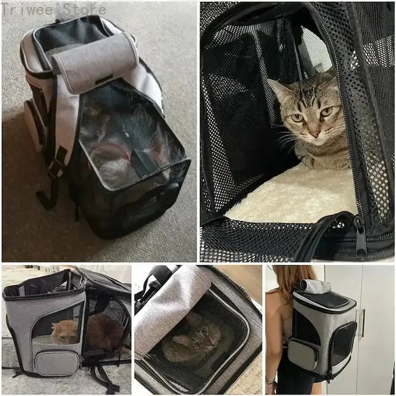 Mochila de senderismo para gatos – Ultra transpirable | TrekCat