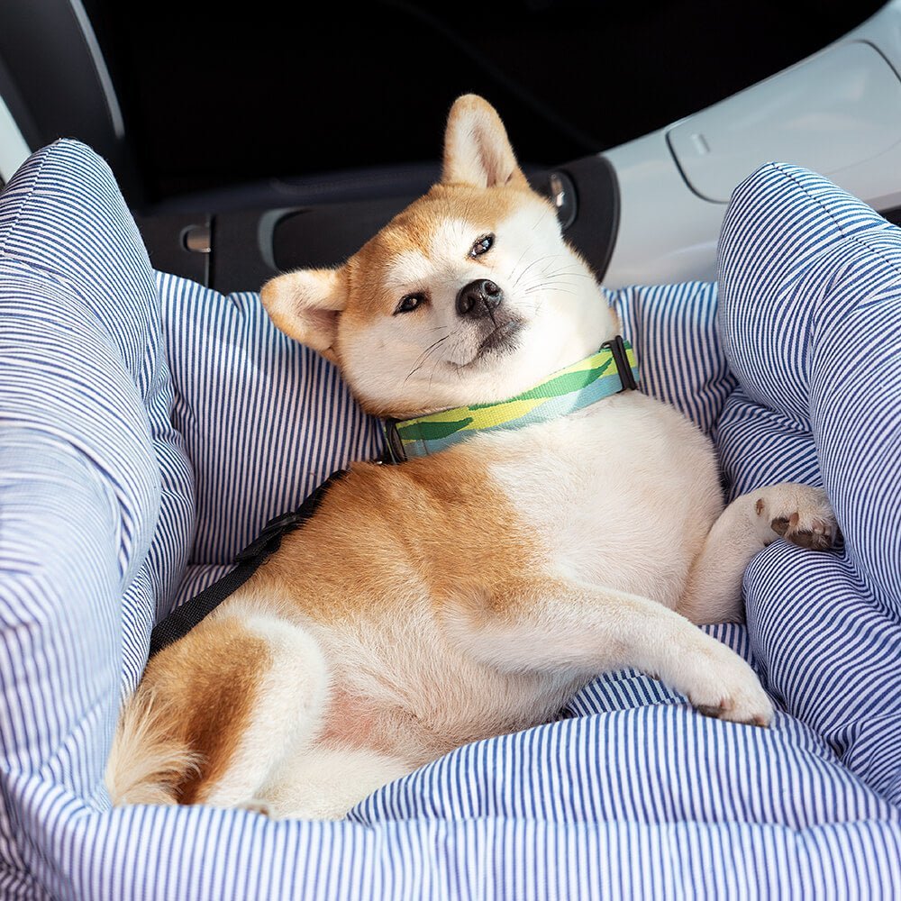 Asiento de coche portátil para mascotas estilo cojín de refuerzo — Asiento de coche para perro
