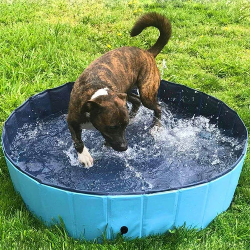 Piscina para perros plegable y portátil - uso en exterior y jardín
