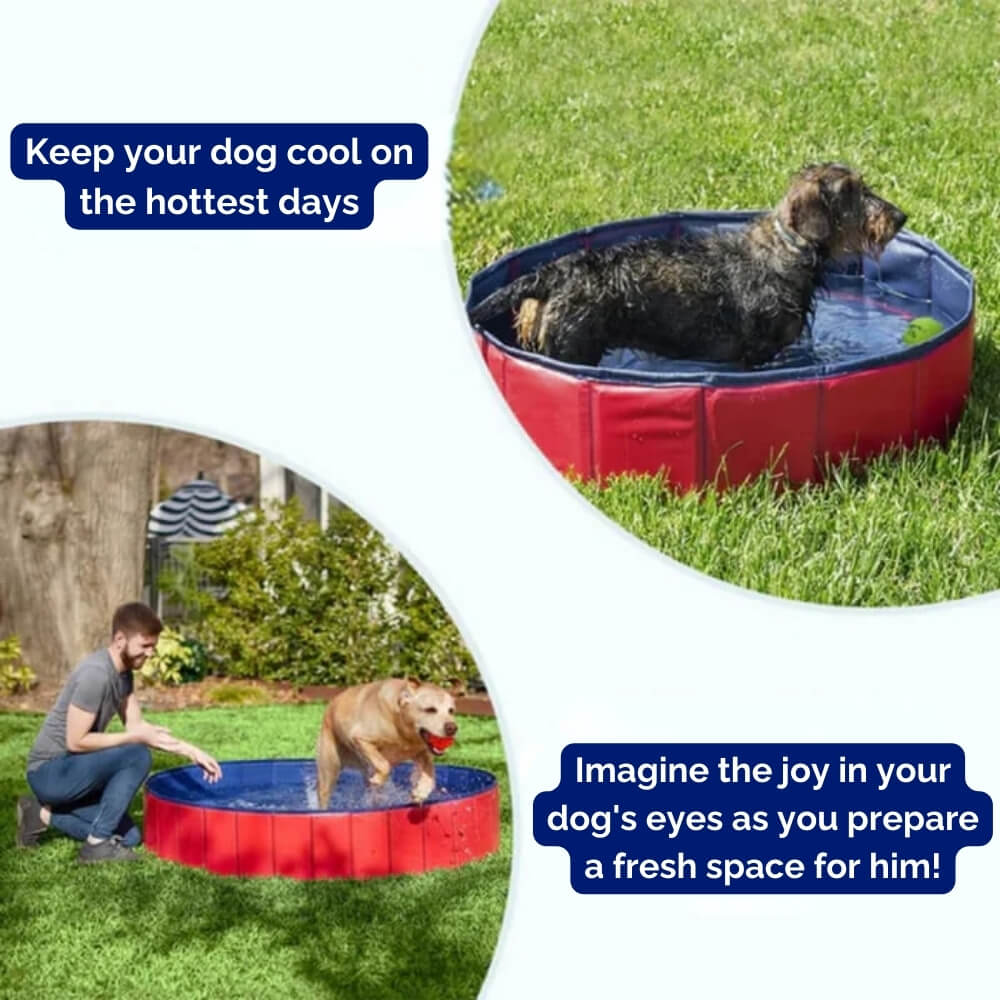 Piscina para perros plegable y portátil - uso en exterior y jardín