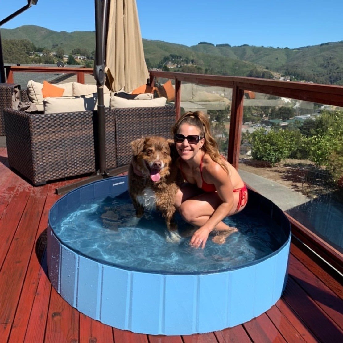 Piscina para perros plegable y portátil - uso en exterior y jardín