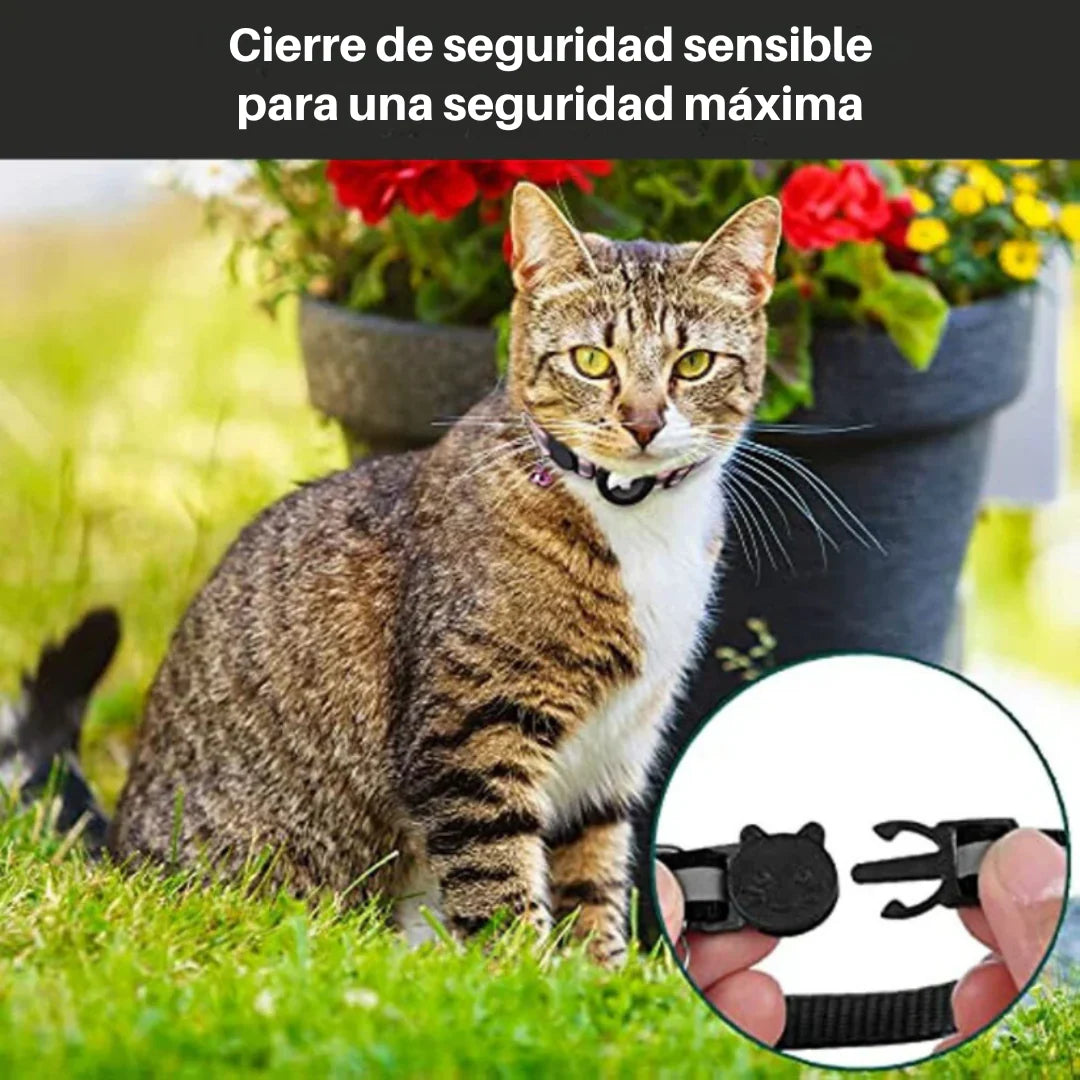 Collar GPS para Gatos con Cierre de Liberación Rápida | Seguridad y Comodidad en Cada Aventura