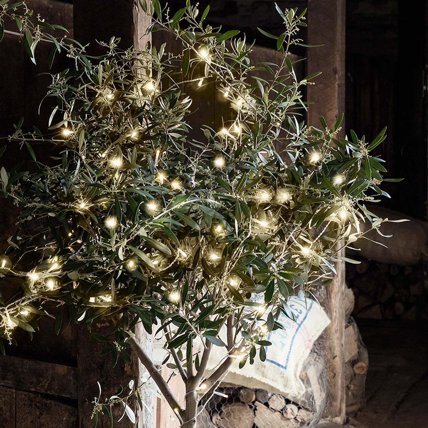 Luces de Hadas Blancas Cálidas para Decoración Navideña – 200 LED con Temporizador